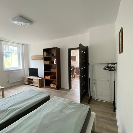 Apartmany U Viaduktu 46 Усти-над-Лабем Экстерьер фото