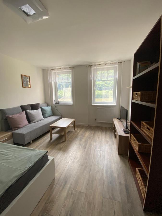 Apartmany U Viaduktu 46 Усти-над-Лабем Экстерьер фото